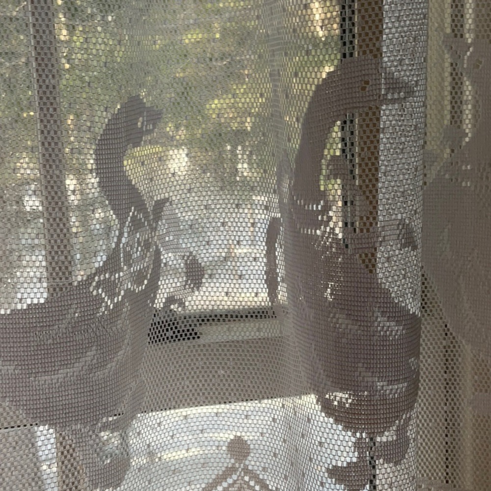 White Lace Goose Pattern Curtain - Picture 3 of 16